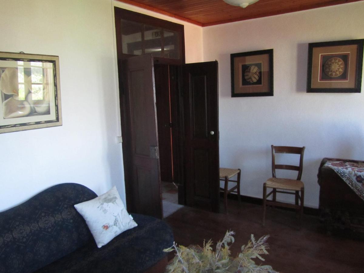 Apartament Casa Amarela Sao Pedro de Tomar Zewnętrze zdjęcie