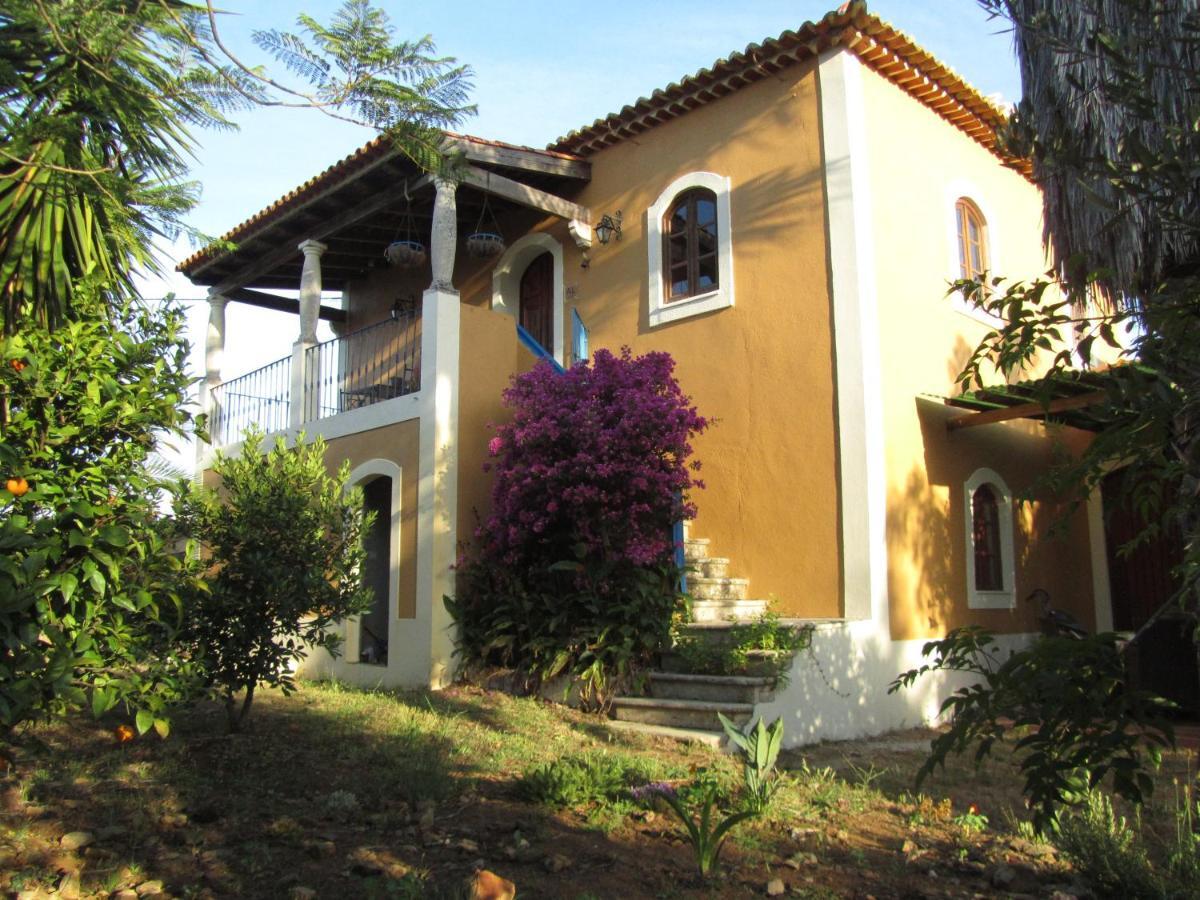 Apartament Casa Amarela Sao Pedro de Tomar Zewnętrze zdjęcie